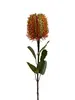 Banksia Spray 58cm Orange thumbnail