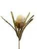 Banksia 57cm Beige thumbnail