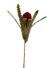 2. Banksia 57cm Burgundy thumbnail
