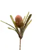 Banksia 57cm Coral thumbnail