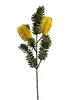 2. Banksia Marginata Spray 66cm Yellow thumbnail