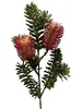 Banksia Marginata Spray 66cm Burgundy thumbnail