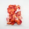 1. Cello Bags Pkt of 10 P18 18x25.5cmh thumbnail