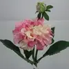 Short Stem Dahlia 34cm Cream/Pink thumbnail