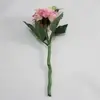 1. Short Stem Dahlia 34cm Cream/Pink thumbnail