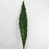 Birds Nest Fern Leaf 83cm thumbnail