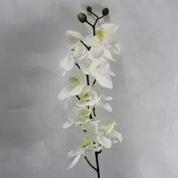 Phalaenopsis Orchid Spray 80cm White