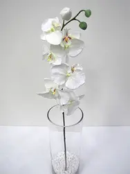 Phalaenopsis Orchid Spray 76cm White