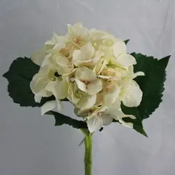 Classic Hydrangea Flower Artificial Vanilla 49cm