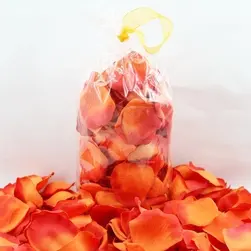 Rose Petals Bag Of 140 Orange
