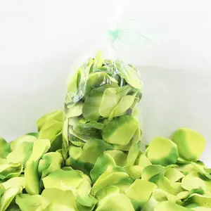 Rose Petals Bag Of 140 Green