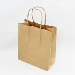 #8 Paper Twist Handles Gift Bag Natural 18x21.5cm height