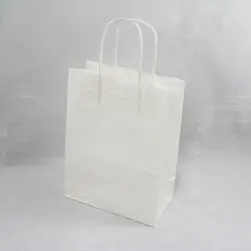 #10 Paper Twist Handles Gift Bag White 20.5x27.5cm height