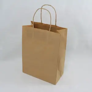 #10 Paper Twist Handles Gift Bag Natural 20.5x27.5cm height