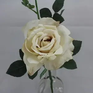 Quiannie Rose Vanilla