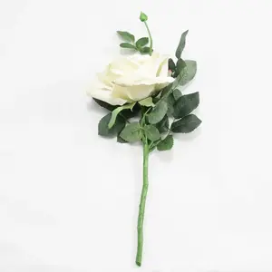 1. Quiannie Rose Vanilla thumbnail