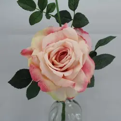 Quiannie Rose Soft Pink