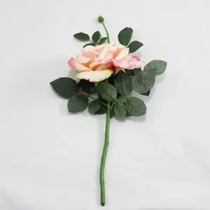 1. Quiannie Rose Soft Pink thumbnail