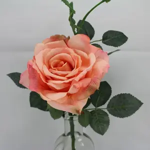 Quiannie Rose Salmon