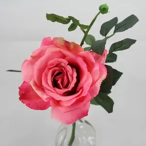 Quiannie Rose Dark Pink