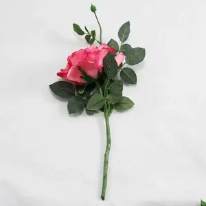 1. Quiannie Rose Dark Pink thumbnail