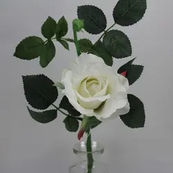 Short Stem Alice Rose 42cm White