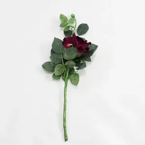 1. Short Stem Alice Rose 42cm Plum thumbnail