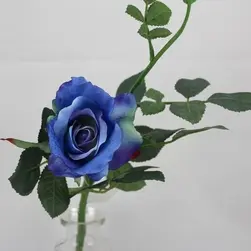 Short Stem Alice Rose 42cm Blue