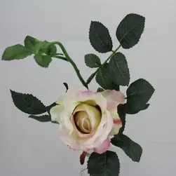 Short Stem Alice Rose 42cm Cream/Pink