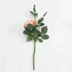 1. Short Stem Alice Rose  42cm Salmon thumbnail