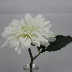 Short Stem Dahlia 28cm White