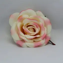 Rose Head Cream/Pink