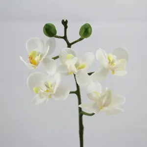 Artificial Mini Real Touch Phalaenopsis Orchid Cream 25cm