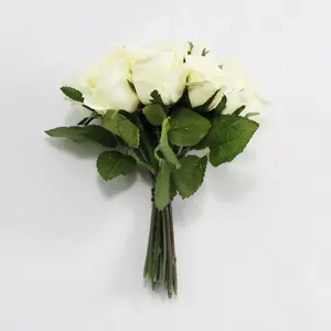 1. Rosebud Bush x 13 25cm Cream thumbnail