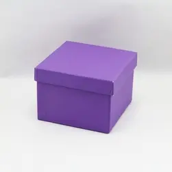 Solid Box Small Purple