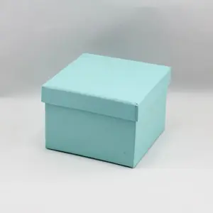 Solid Box Small Light Blue