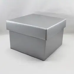 Medium Square Box and Lid 17x17x12cm height Silver
