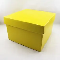 Large Square Box and Lid 22x22x14cm height Yellow