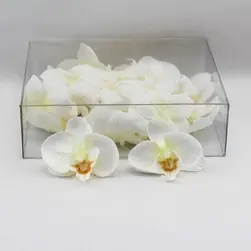 Phalaenopsis Orchid Head White Box Of 24