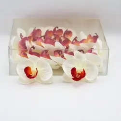 Phalaenopsis Orchid Head White/Pink Box Of 24