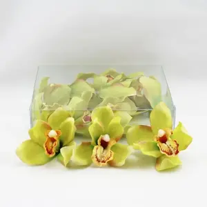 Cymbidium Orchid Heads Green Box of 12