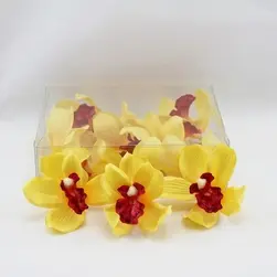 Cymbidium Orchid Heads Yellow Box of 12