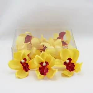 Cymbidium Orchid Heads Yellow Box of 12