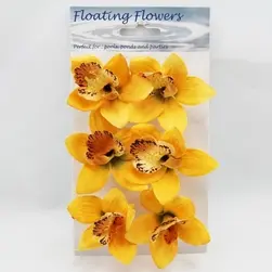 Cymbidium Orchid Head card of 6 Yellow