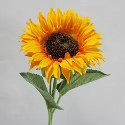 Single Sunflower 70cm