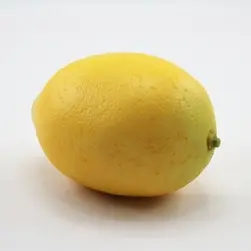 Weighted Lemon 8x6cm
