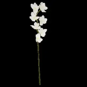 1. XLarge Real Touch Cymbidium Orchid 99cm  White thumbnail