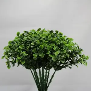 Boxwood Pick x 12