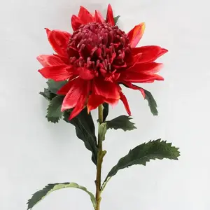 Large Waratah 70cm Red