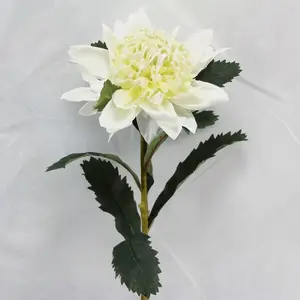 Large Waratah 85cm White